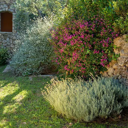 Boutique Torre Di Cala Piccola Hotel Porto Santo Stefano (Grosseto)