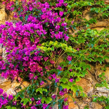 Boutique Torre Di Cala Piccola 4* Porto Santo Stefano (Grosseto)
